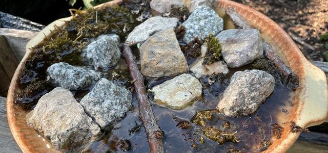 Eine Schale mit Steinen und Wasser