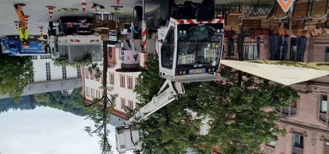 Maschine zur Baumpflegearbeit in der Heidelberger Altstadt